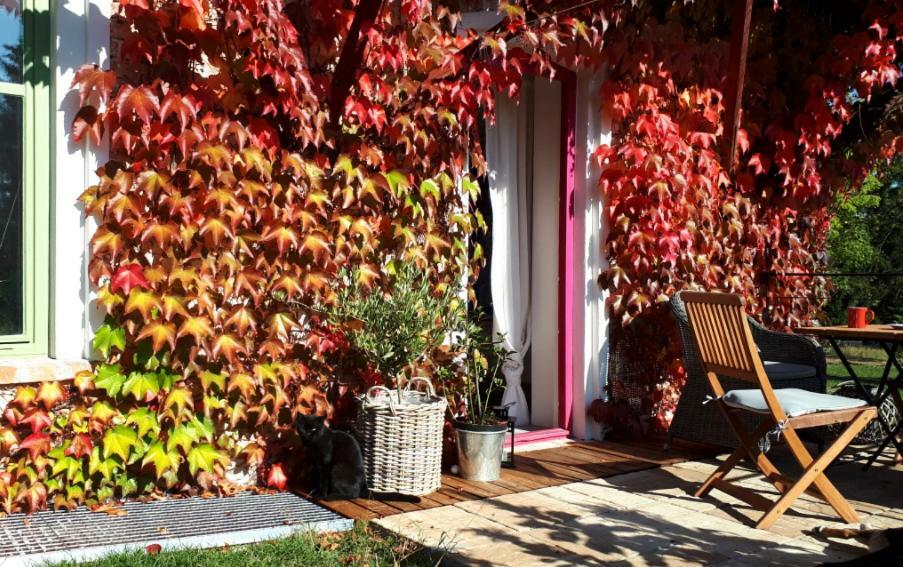 Apartmany Ruprechtov Hroznetin Dış mekan fotoğraf